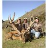 Image 1 : 5-day New Zealand Gold Medal Red Stag Hunt for Two Hunters