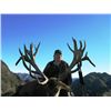 Image 2 : 5-day New Zealand Gold Medal Red Stag Hunt for Two Hunters