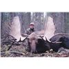 Image 3 : 7-day Yukon Trophy Yukon Moose Hunt for One Hunter and One Observer