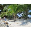 Image 3 : 6-day/5-night Belize All Inclusive Fishing and Diving Package for Ten People