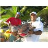 Image 7 : 6-day/5-night Belize All Inclusive Fishing and Diving Package for Ten People
