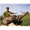 Image 2 : 5-day Spain Gredos Ibex and Fallow Deer Hunt for One Hunter and One Observer