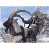Image 1 : 5-day Turkey Bezoar Ibex and Eurasian Boar Hunt for One Hunter and One Observer