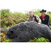 Image 2 : 5-day Vancouver Island Black Bear Hunt for One Hunter - Guided by Jim Shockey