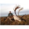 Image 2 : 6-day Alaskan Barren Ground Caribou Hunt for One Hunter