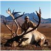 Image 3 : 6-day Alaskan Barren Ground Caribou Hunt for One Hunter
