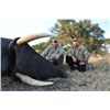 Image 1 : 10-day Zimbabwe Elephant and Plains Game Hunt for One Hunter and One Observer