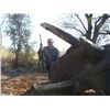 Image 2 : 10-day Zimbabwe Elephant and Plains Game Hunt for One Hunter and One Observer