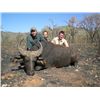 Image 1 : 6-day Cameroon Safari for One Hunter and One Observer
