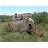 Image 1 : 7-day South Africa Black Rhino Vita-Dart and Sable Hunt for One Hunter and One Observer