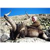 Image 2 : 5-day Spain Southeastern Ibex Hunt for One Hunter and One Observer