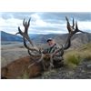 Image 1 : 5-day New Zealand Red Stag up to 390 SCI for Two Hunters and Two Observers