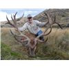 Image 2 : 5-day New Zealand Red Stag up to 390 SCI for Two Hunters and Two Observers