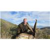 Image 2 : 5-day Spanish Ronda Ibex Hunt for One Hunter and One Observer