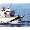 Image 1 : 6-day/7-night Panama Blue Water Fishing Trip for Two Anglers