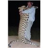 Image 1 : 10-day Namibia Leopard Hunt for One Hunter and One Observer
