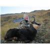 Image 3 : 5-day New Zealand Red Stag, Tahr or Chamois Hunt for Three Hunters and Three Observers