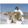 Image 2 : 7-day Tajikistan Marco Polo Argali Hunt for One Hunter