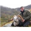 Image 2 : 15-day British Columbia Stone Sheep Hunt for One Hunter