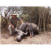Image 1 : 10-day Cameroon Roan and Savanna Buffalo Hunt for One Hunter and One Observer