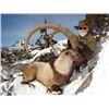 Image 1 : 7-day Turkey Bezoar Ibex Hunt for One Hunter and One Observer