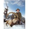 Image 2 : 7-day Turkey Bezoar Ibex Hunt for One Hunter and One Observer