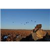 Image 1 : 4-night/4-day Uruguay Perdiz, Dove, Duck Shoot, and Dorado Fishing for Six Hunters