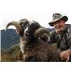 Image 2 : 8-day New Zealand Hunt for Four Big Game Species, Waterfowl and Gamebirds for Two Hunters
