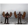Image 1 : 11-day Yukon Trophy Moose Hunt for One Hunter