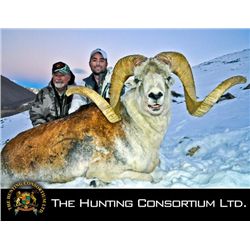 10-day Tajikistan Marco Polo Argali Hunt for One Hunter