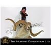 Image 2 : 10-day Tajikistan Marco Polo Argali Hunt for One Hunter