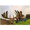 Image 2 : 5-day Pennsylvania Northeastern White-tailed Deer Hunt for Two Hunters