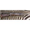 Image 3 : Vittorio Giani MAG Rifle