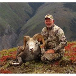 10-day British Columbia Stone Sheep Hunt for One Hunter