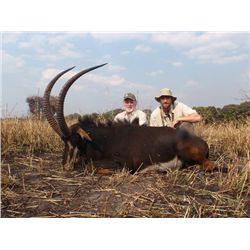 7-day Zambia Sable, Eland and Cape Buffalo Hunt for One Hunter and One Observer