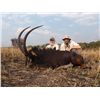 Image 1 : 7-day Zambia Sable, Eland and Cape Buffalo Hunt for One Hunter and One Observer