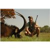 Image 2 : 7-day Zambia Sable, Eland and Cape Buffalo Hunt for One Hunter and One Observer