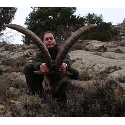 7-day Spain Beceite and Southeastern Ibex Hunt for One Hunter and One Observer