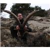 Image 1 : 7-day Spain Beceite and Southeastern Ibex Hunt for One Hunter and One Observer