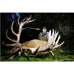 5-day New Zealand Trophy Red Stag up to 525 SCI for One Hunter and One Observer