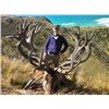 Image 2 : 5-day New Zealand Trophy Red Stag up to 525 SCI for One Hunter and One Observer