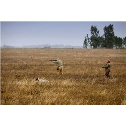 5-night/4-day Uruguay Duck, Perdiz and Dove Shoot for Six Hunters