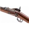 Image 4 : Springfield Model 1884 U.S. Trapdoor Carbine