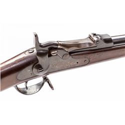 Springfield Model 1884 U.S. Trapdoor Rifle