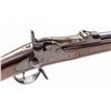 Image 1 : Springfield Model 1884 U.S. Trapdoor Rifle