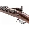 Image 5 : Springfield Model 1884 U.S. Trapdoor Rifle