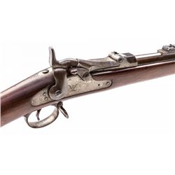 Springfield Model 1888 U.S. Trapdoor Rifle