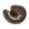 Image 3 : Winchester Model 2056 Pre-War Catcher's Mitt