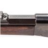 Image 4 : Argentine Remington M.1879 RB Rifle