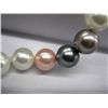 Image 2 : Multi-coloured Shell-Pearl Necklace